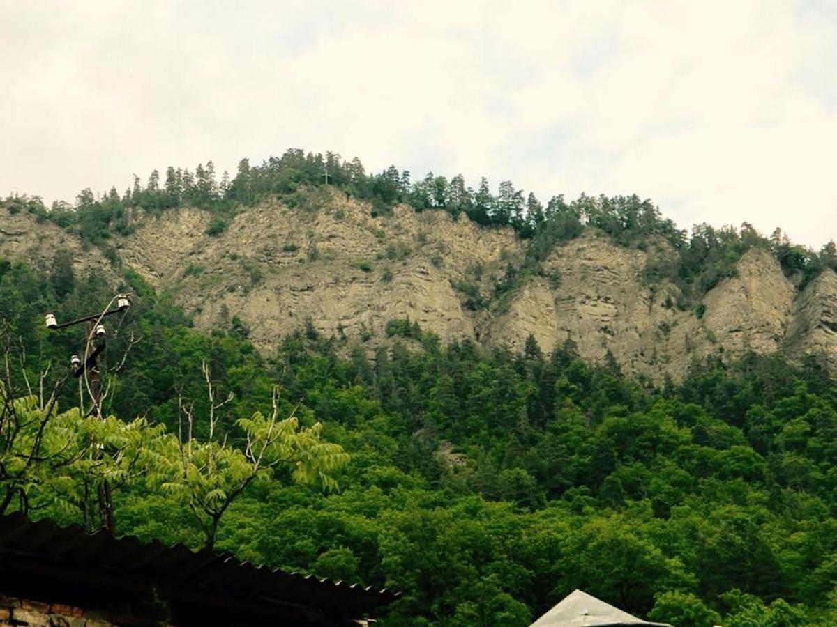 Erik'S Guest House Bordzjomi Buitenkant foto